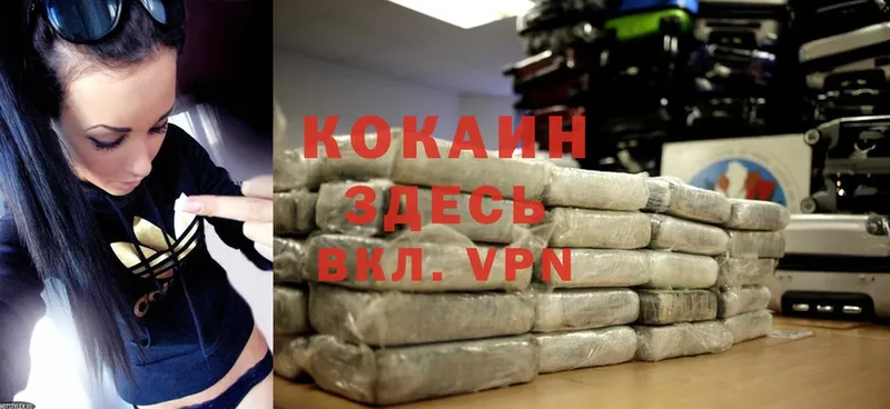 купить наркотик  Морозовск  Cocaine FishScale 